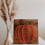 Pumpkin DIY String Art Kit