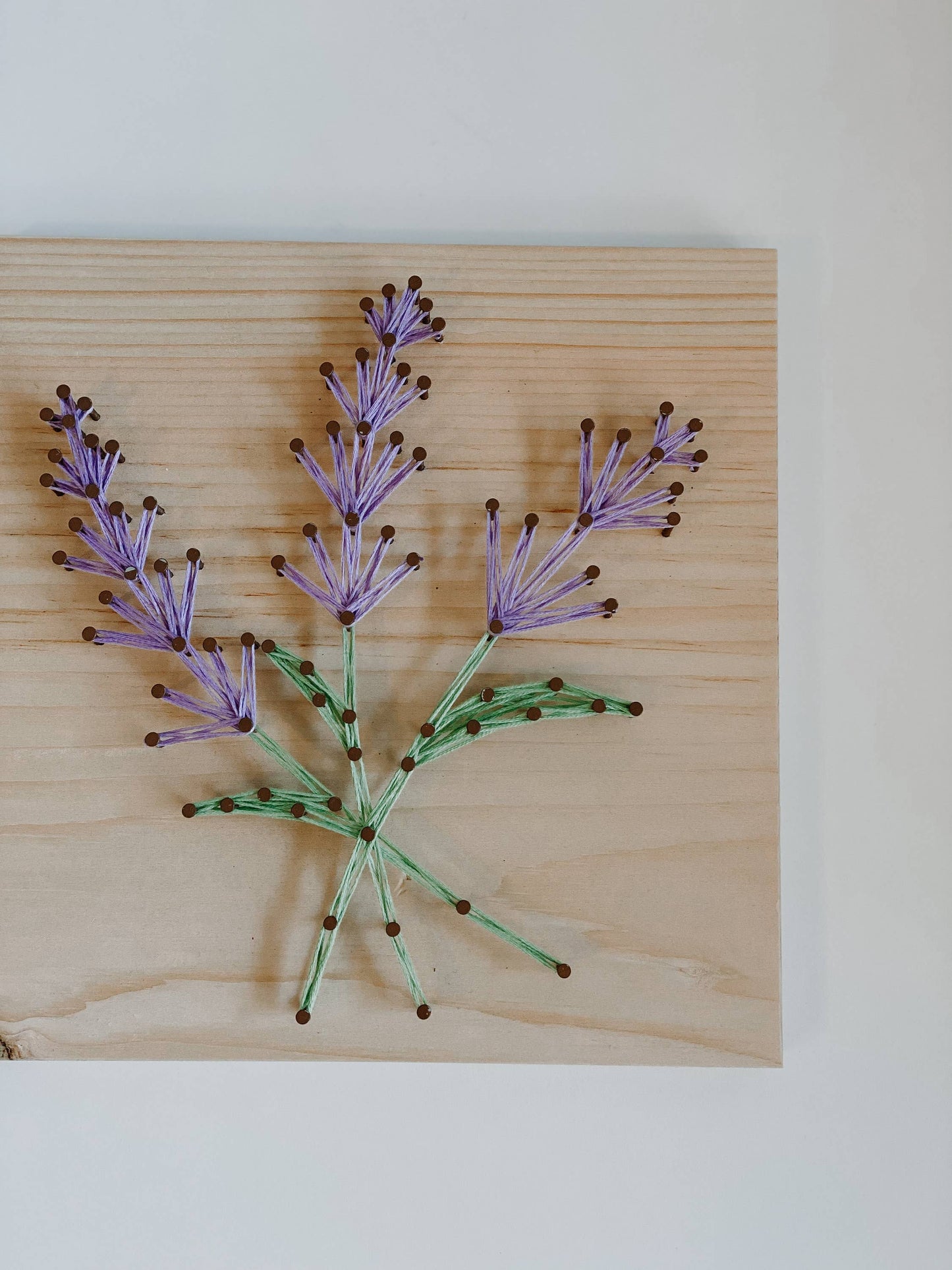 Lavender DIY String Art Kit
