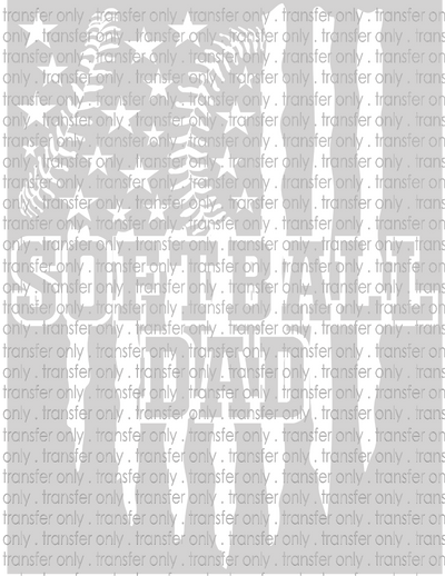 FAM 226 Softball Dad