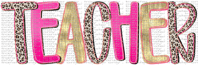 SCH 2224 Preppy Teacher Pink Black Leopard