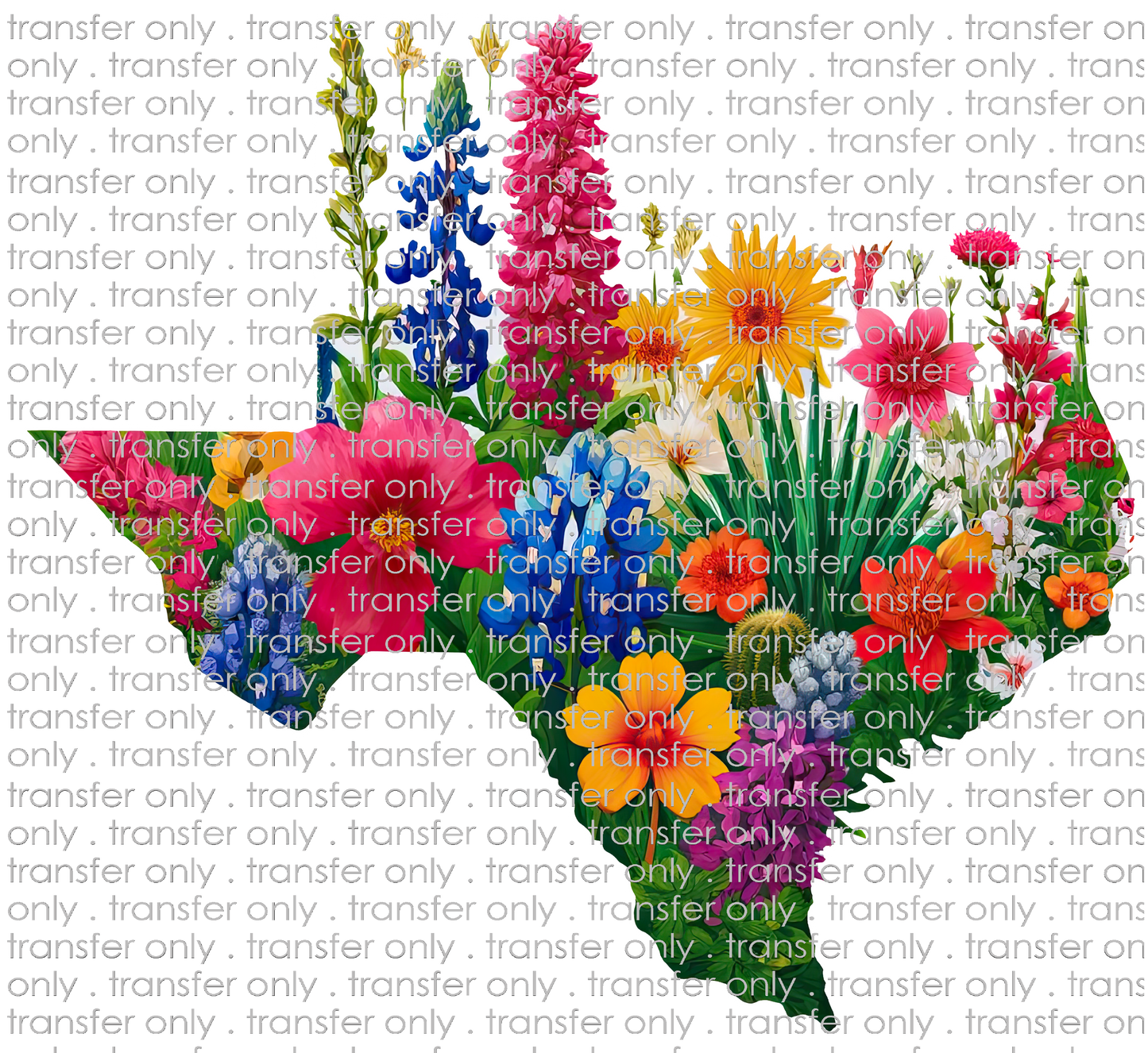 TX 149 Texas Flowers