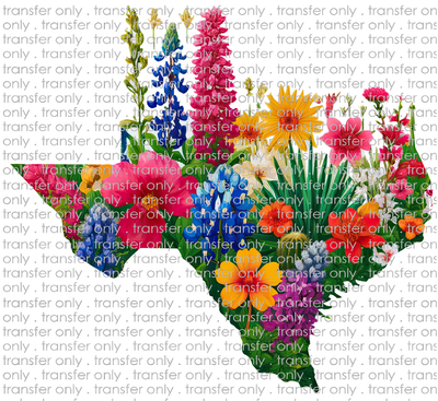TX 149 Texas Flowers