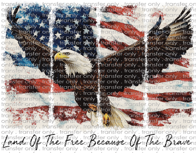 USA 271 Flag with Eagle