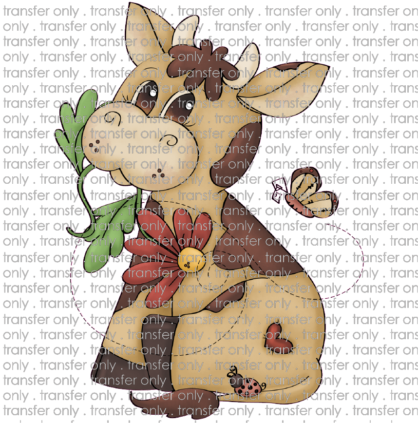 ANM 65 corky cow