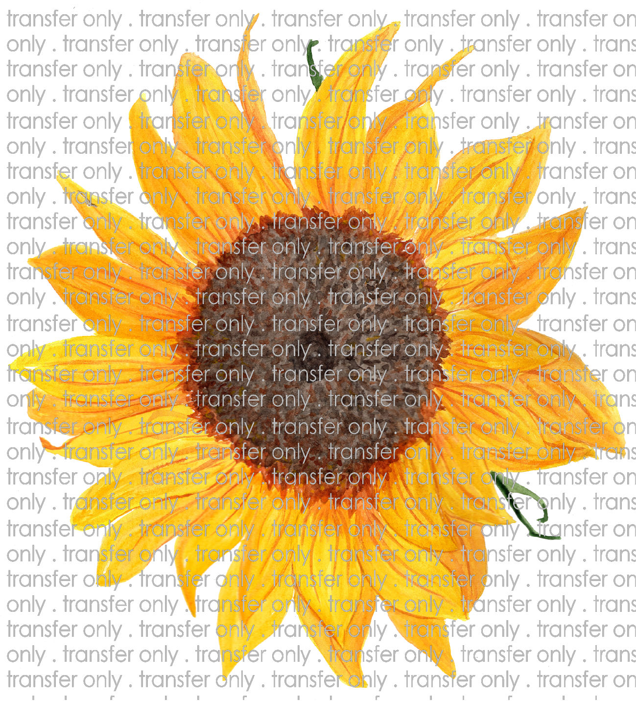 SUM 12 Sunflower Watercolor