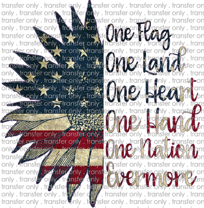 USA 95 One Flag One Land One Heart